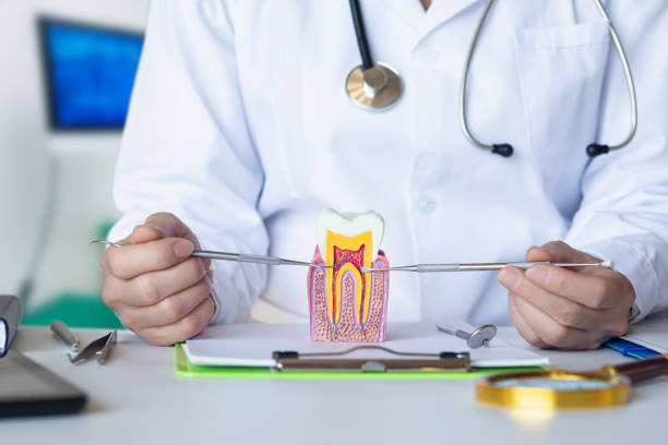 Best Mobile Emergency Dentist in Grizzly Flats, CA